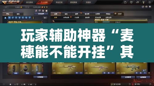玩家辅助神器“麦穗能不能开挂	”其实确实有挂