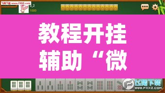 教程开挂辅助“微乐四川麻将怎么开免费的挂”(透视挂)辅助透视教程