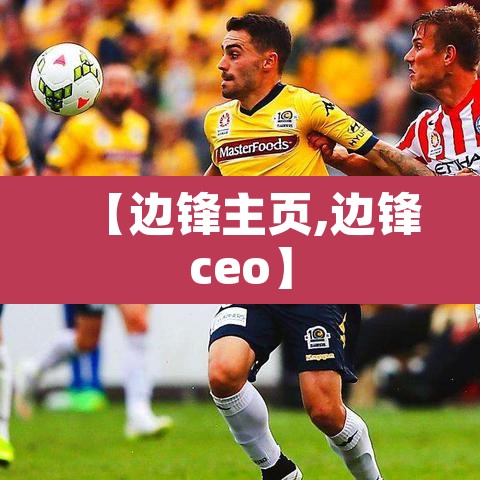 【边锋主页,边锋ceo】 【边锋主页,边锋ceo】