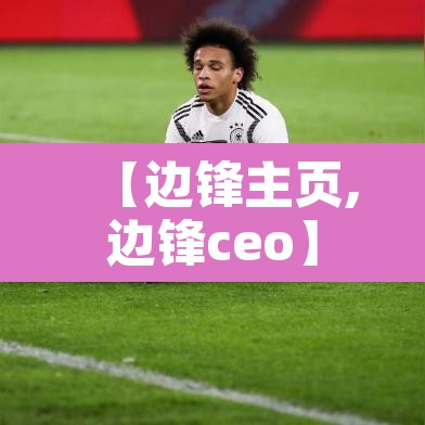【边锋主页,边锋ceo】