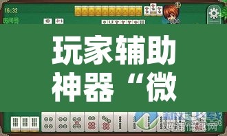 玩家辅助神器“微乐安徽麻将可以开挂吗”开挂辅助脚本+详细开挂安装教程