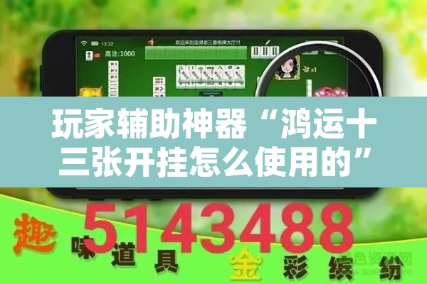 玩家辅助神器“鸿运十三张开挂怎么使用的”其实确实有挂