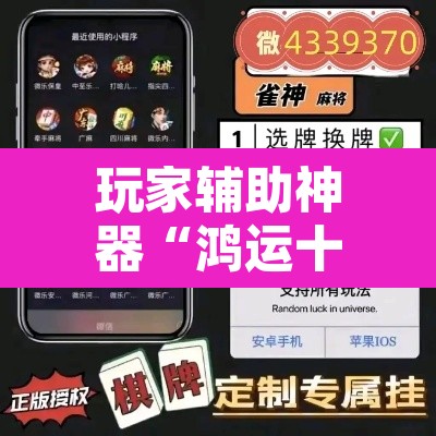 玩家辅助神器“鸿运十三张开挂怎么使用的”其实确实有挂