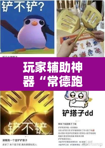 玩家辅助神器“常德跑胡子有没有挂”其实确实有挂