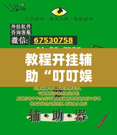 教程开挂辅助“叮叮娱乐辅助”(透视挂)辅助透视教程