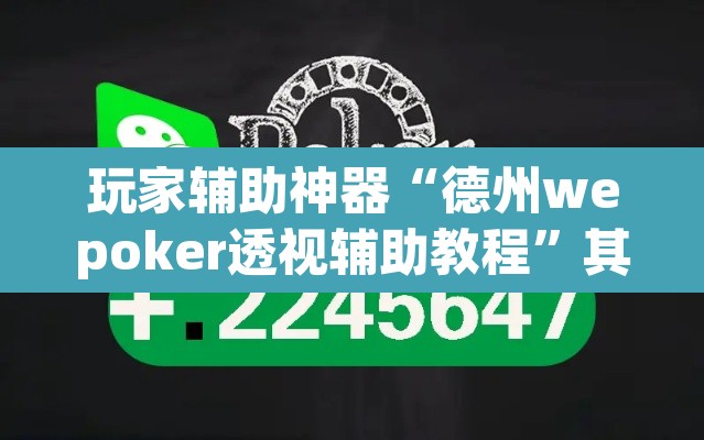 玩家辅助神器“德州wepoker透视辅助教程”其实确实有挂