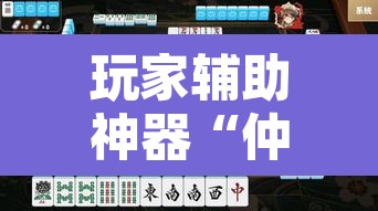 玩家辅助神器“仲乐郑州麻将透视辅助”其实确实有挂