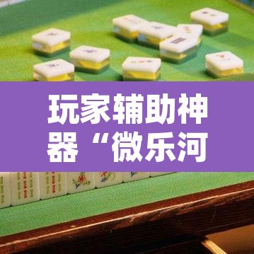 玩家辅助神器“微乐河北麻将有挂吗	”附辅助神器开挂脚本详细步骤