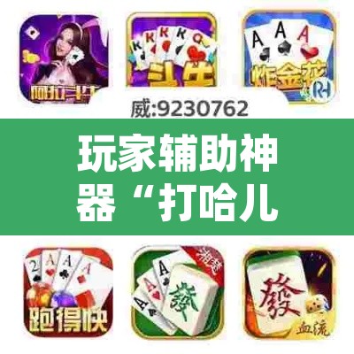 玩家辅助神器“打哈儿麻将免费开挂下载	”(透视)其实确实有挂