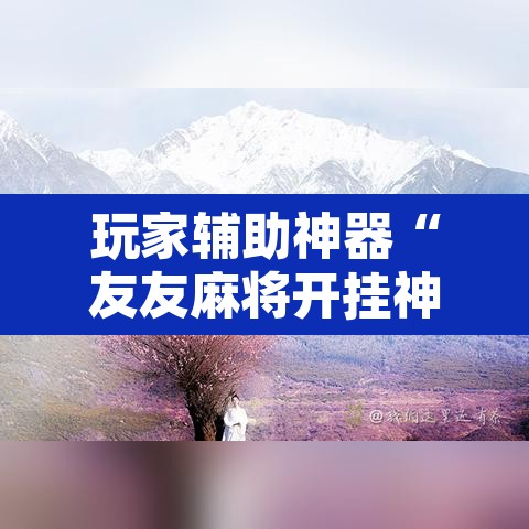 玩家辅助神器“友友麻将开挂神器”开挂辅助脚本+详细开挂安装教程