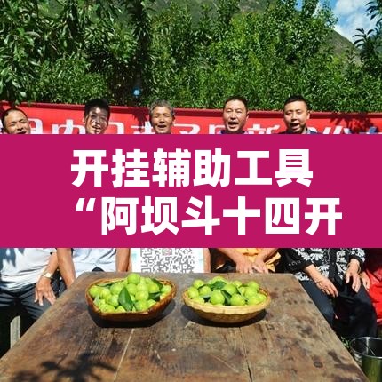 开挂辅助工具“阿坝斗十四开挂神器	”其实确实有挂