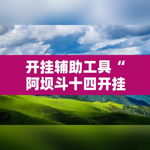 开挂辅助工具“阿坝斗十四开挂神器”其实确实有挂