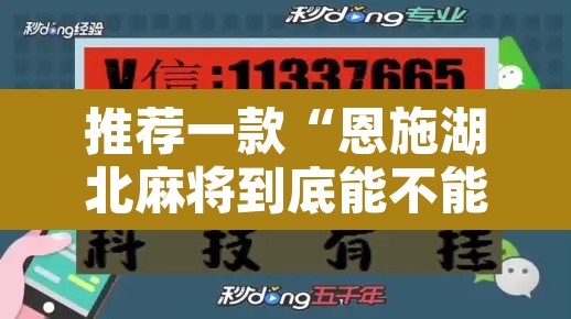 推荐一款“恩施湖北麻将到底能不能开挂”开挂辅助脚本+详细开挂安装教程