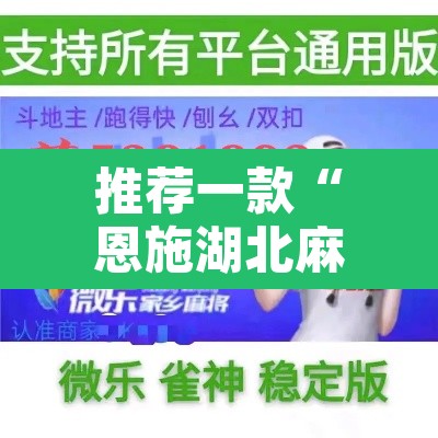 推荐一款“恩施湖北麻将到底能不能开挂	”开挂辅助脚本+详细开挂安装教程