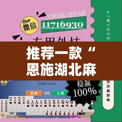 推荐一款“恩施湖北麻将到底能不能开挂”开挂辅助脚本+详细开挂安装教程