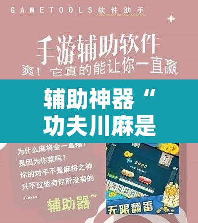 辅助神器“功夫川麻是不是有透视辅助挂”开挂辅助脚本+详细开挂安装教程
