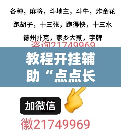 教程开挂辅助“点点长牌透视挂的软件”(透视挂)辅助透视教程