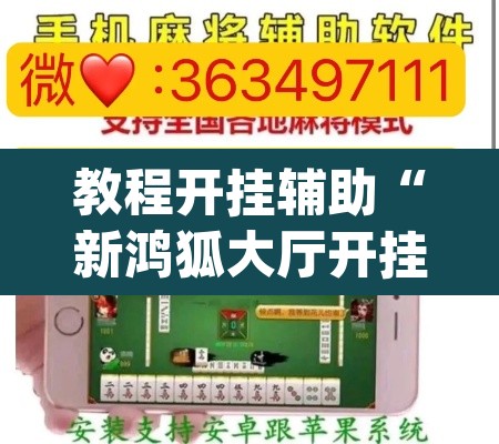 教程开挂辅助“新鸿狐大厅开挂	”(透视挂)辅助透视教程