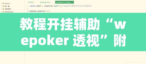 教程开挂辅助“wepoker 透视”附辅助神器开挂脚本详细步骤