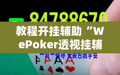 教程开挂辅助“WePoker透视挂辅助软件	”(透视挂)辅助透视教程