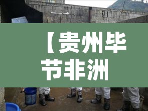 【贵州毕节非洲猪瘟,威宁非洲猪瘟】 【贵州毕节非洲猪瘟,威宁非洲猪瘟】