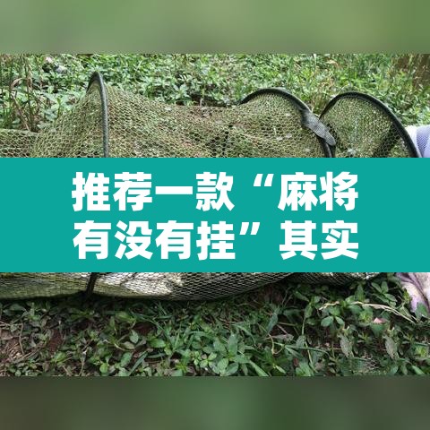 推荐一款“麻将有没有挂	”其实确实有挂