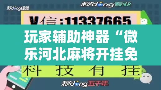 玩家辅助神器“微乐河北麻将开挂免费下载”(透视挂)辅助透视教程