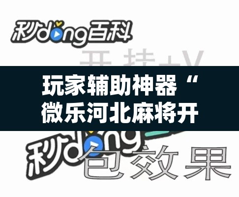 玩家辅助神器“微乐河北麻将开挂免费下载	”(透视挂)辅助透视教程
