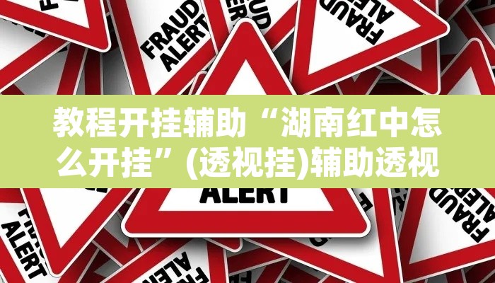 教程开挂辅助“湖南红中怎么开挂”(透视挂)辅助透视教程