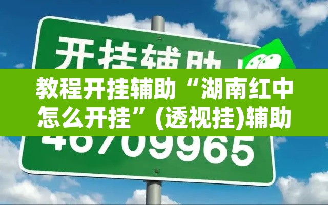 教程开挂辅助“湖南红中怎么开挂”(透视挂)辅助透视教程