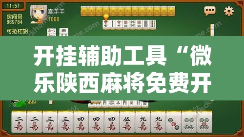开挂辅助工具“微乐陕西麻将免费开挂神器”(透视挂)辅助透视教程