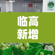 临高新增疫情—(临高县新闻最新消息) 临高新增疫情—(临高县新闻最新消息)