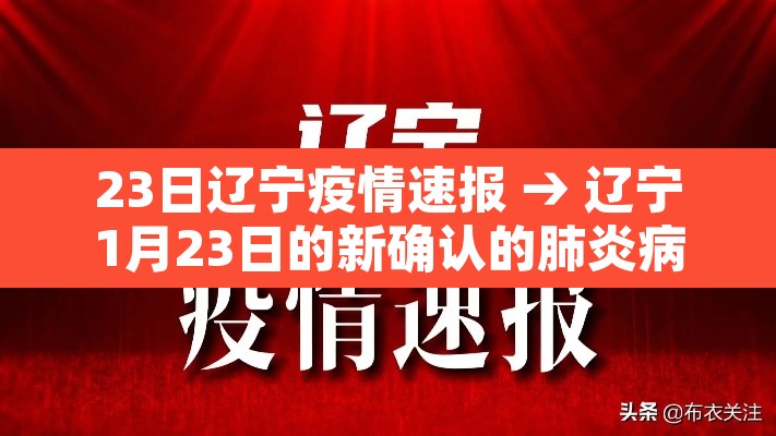 23日辽宁疫情速报 → 辽宁1月23日的新确认的肺炎病例 23日辽宁疫情速报 → 辽宁1月23日的新确认的肺炎病例