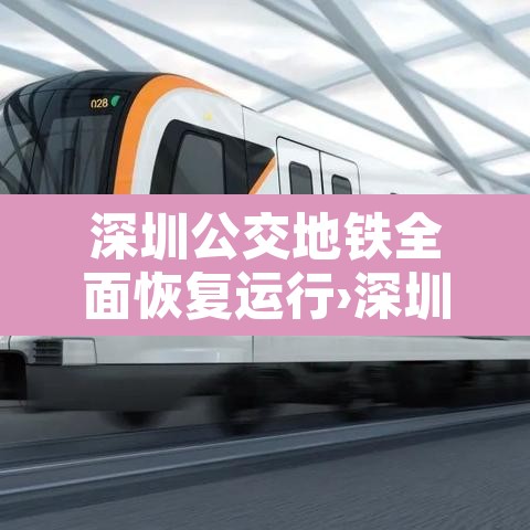 深圳公交地铁全面恢复运行›深圳公交地铁线路查询路线 深圳公交地铁全面恢复运行›深圳公交地铁线路查询路线