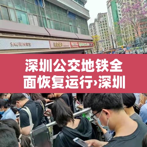 深圳公交地铁全面恢复运行›深圳公交地铁线路查询路线