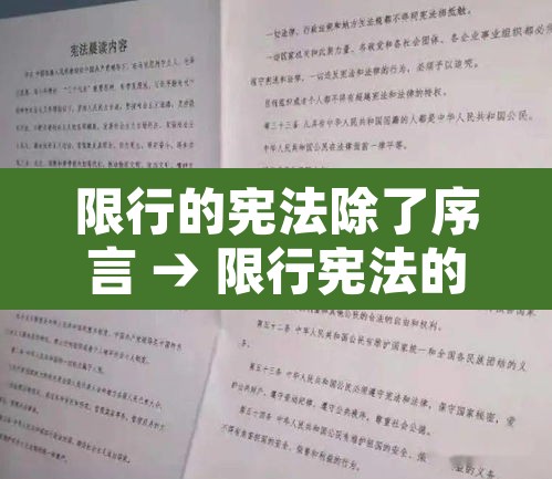 限行的宪法除了序言 → 限行宪法的修改与国家发展 限行的宪法除了序言 → 限行宪法的修改与国家发展