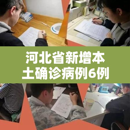 河北省新增本土确诊病例6例 → 河北省新增确诊病历 河北省新增本土确诊病例6例 → 河北省新增确诊病历