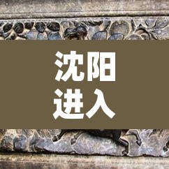 沈阳进入战时状态:沈阳战时状态封城吗 沈阳进入战时状态:沈阳战时状态封城吗