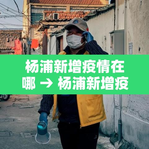 杨浦新增疫情在哪 → 杨浦新增疫情在哪个街道