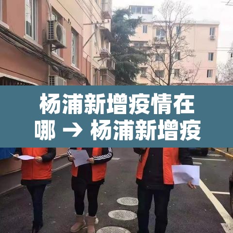 杨浦新增疫情在哪 → 杨浦新增疫情在哪个街道 杨浦新增疫情在哪 → 杨浦新增疫情在哪个街道