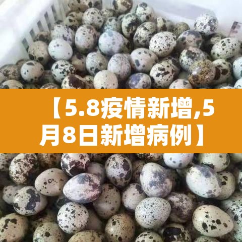 【5.8疫情新增,5月8日新增病例】