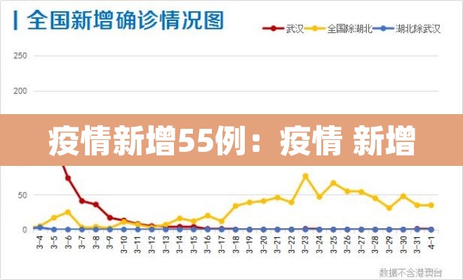 疫情新增55例：疫情 新增