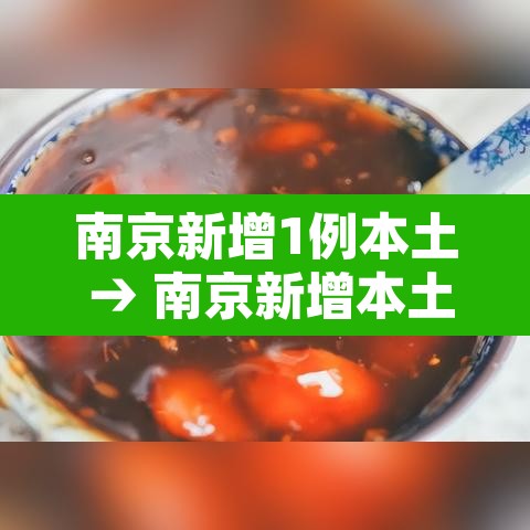 南京新增1例本土 → 南京新增本土病例行动轨迹 南京新增1例本土 → 南京新增本土病例行动轨迹