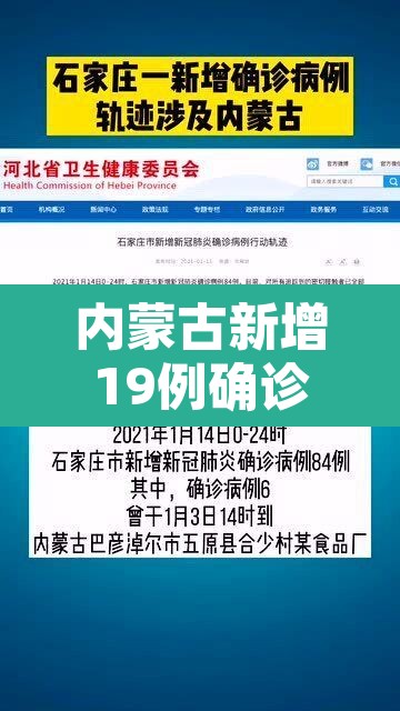 内蒙古新增19例确诊›内蒙古新增19例确诊病例 内蒙古新增19例确诊›内蒙古新增19例确诊病例