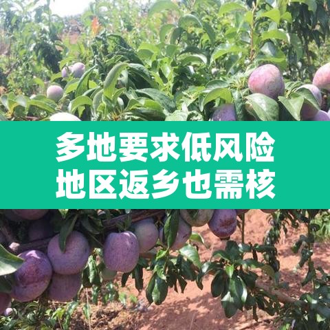 多地要求低风险地区返乡也需核检—（低风险地区返乡人员需要做核酸检测吗）