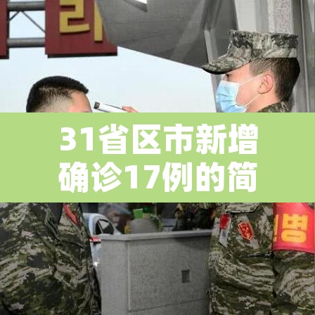 31省区市新增确诊17例的简单介绍 31省区市新增确诊17例的简单介绍
