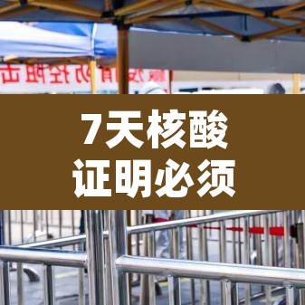 7天核酸证明必须要纸质的吗 → 7天内核酸检测报告需要纸质的吗 7天核酸证明必须要纸质的吗 → 7天内核酸检测报告需要纸质的吗