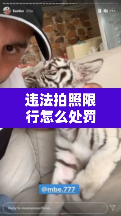 违法拍照限行怎么处罚›违法拍照 限行