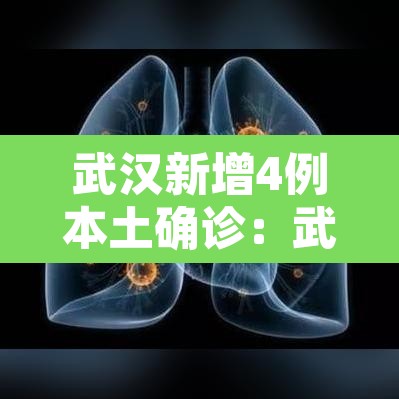 武汉新增4例本土确诊:武汉新增本土4例确诊轨迹 武汉新增4例本土确诊:武汉新增本土4例确诊轨迹