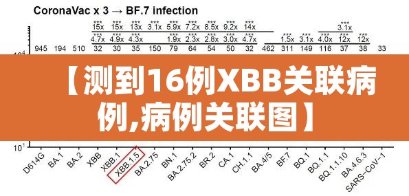 【测到16例XBB关联病例,病例关联图】 【测到16例XBB关联病例,病例关联图】